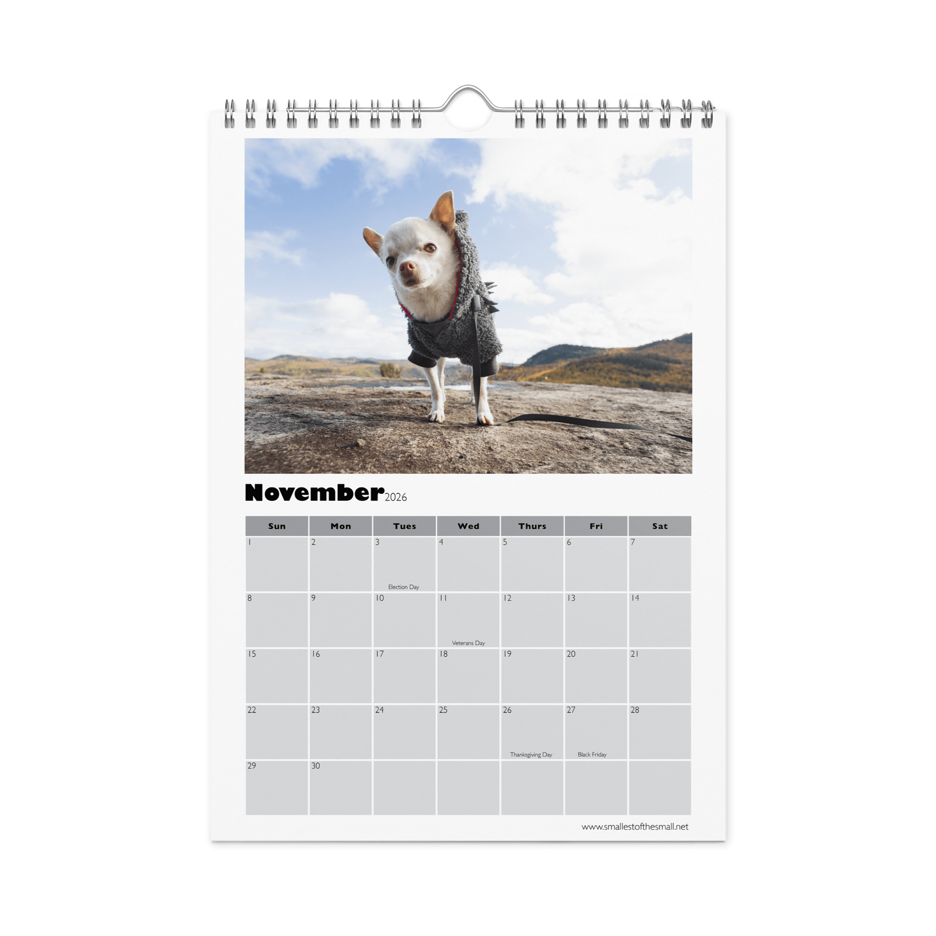 Smallest of the Small 2026 Calendar product image (11)