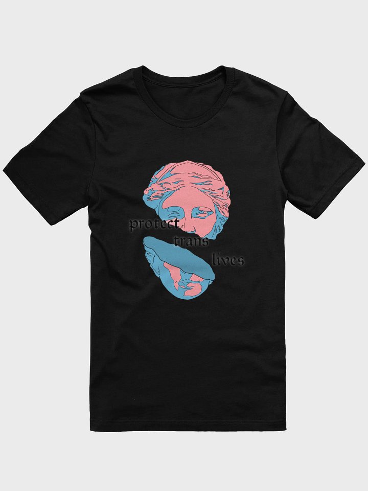 Protect Trans Lives (Charity Design) product image (3)