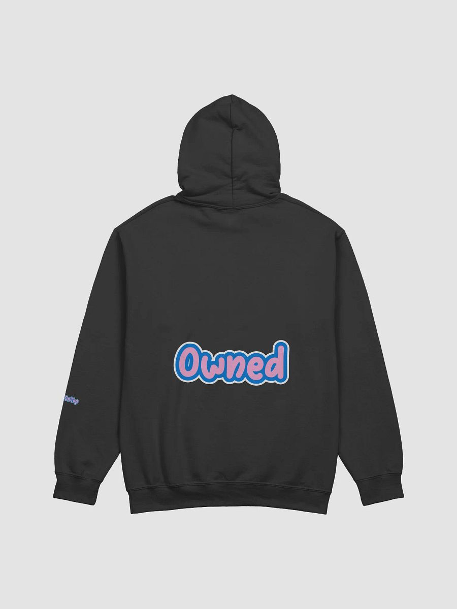 Luna's Paypig Hoodie product image (4)