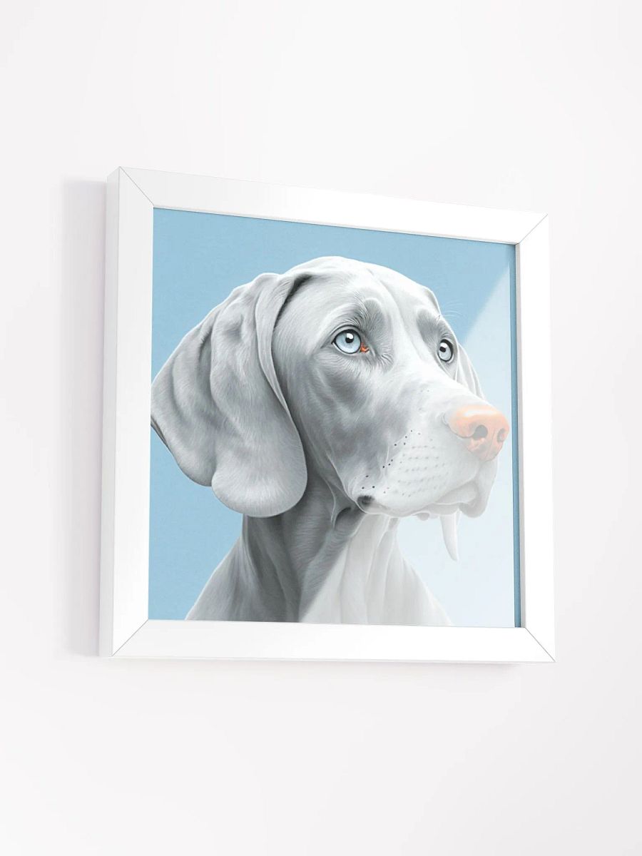 SkyGaze Weim product image (7)