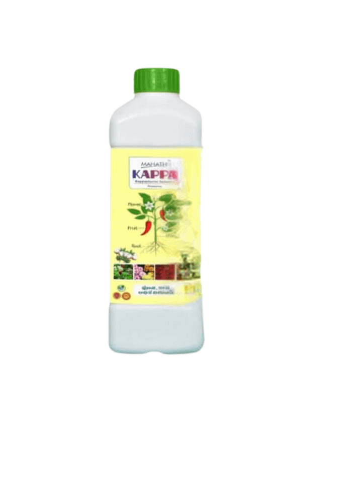 KAPPA product image (1)