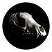 Foxfire Paranormal