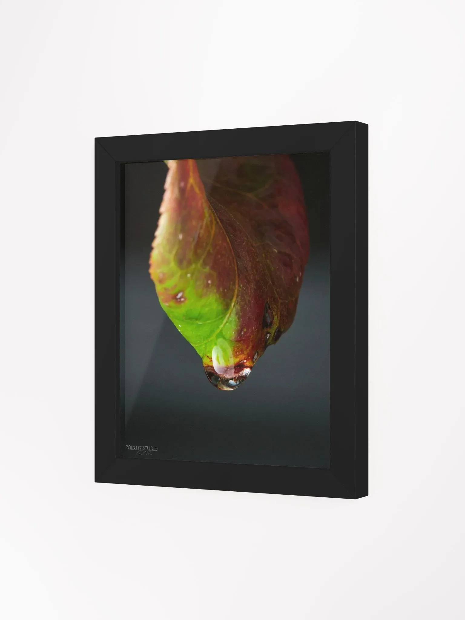 Crystal Drop - Framed Poster product image (3)