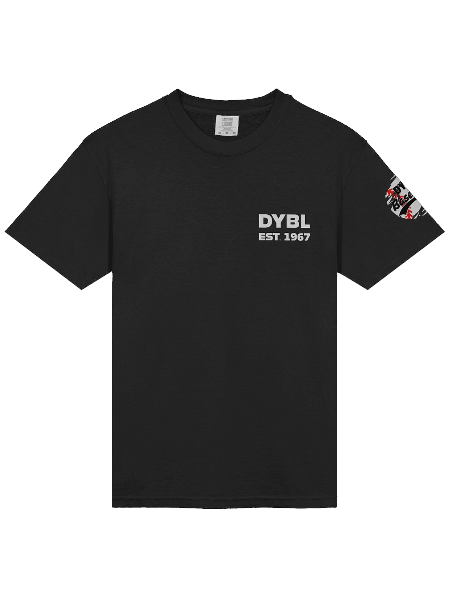 DYBL Vintage Est. 1967 Heavyweight Tee product image (24)