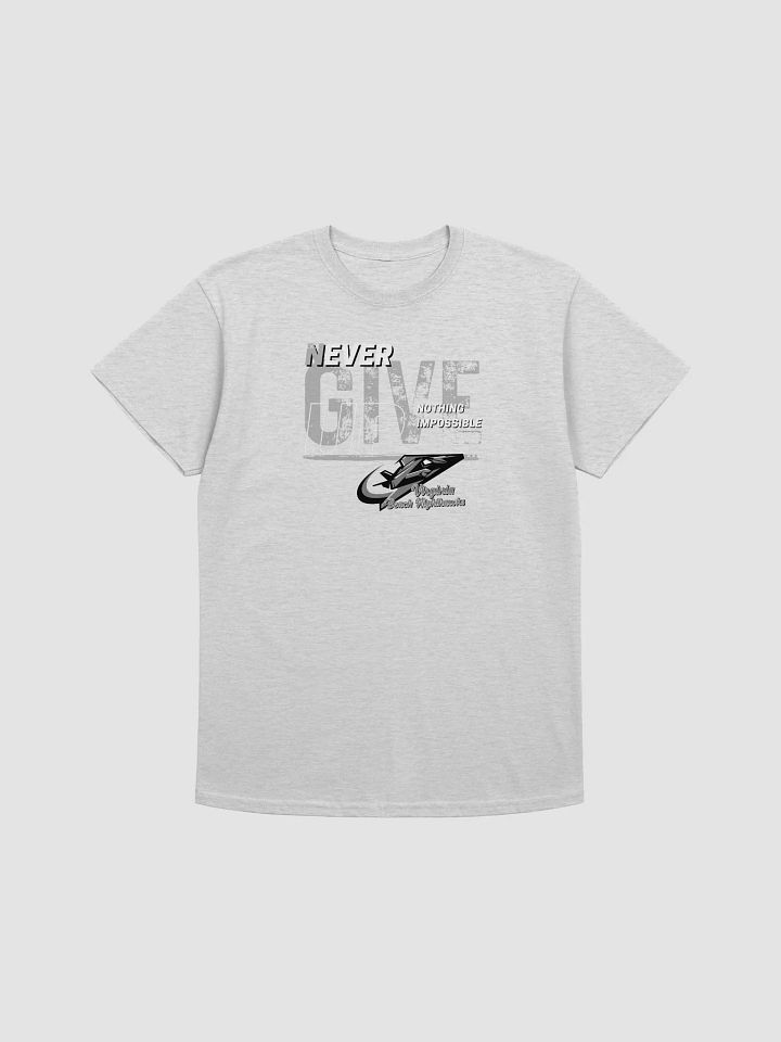 Virginia Beach Nighthawks T-Shirt by Gildan 