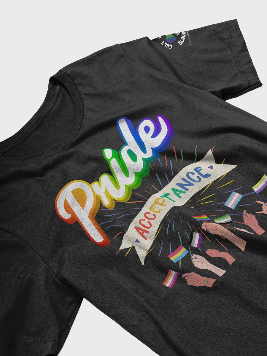 Pride Acceptance T-Shirt product image (3)