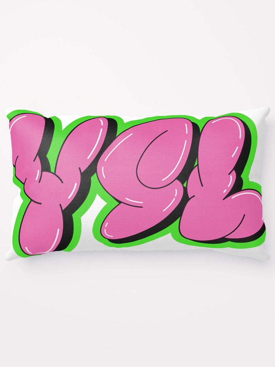 YSL PILLOW product image (15)
