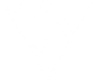Official_Squid