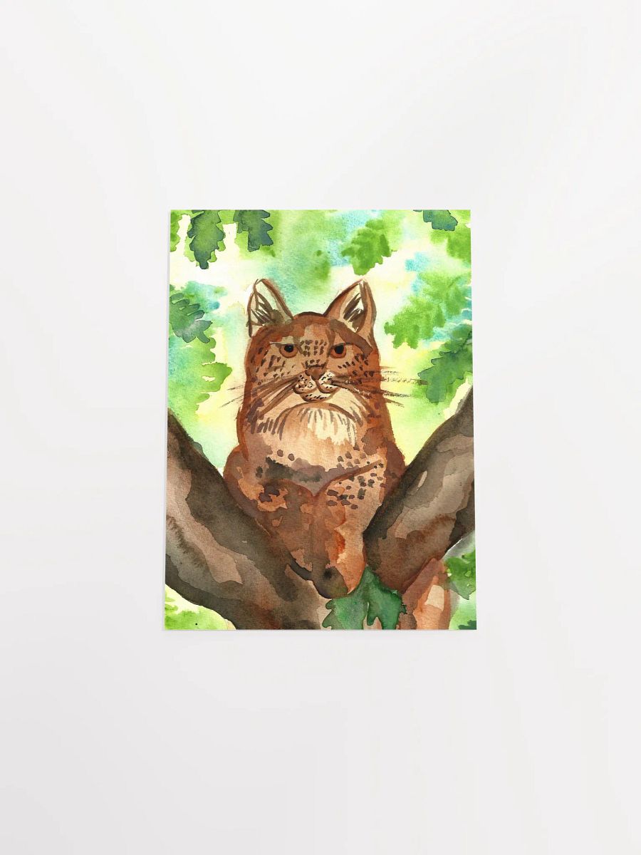 Lynx In A Tree Art Print product image (13)
