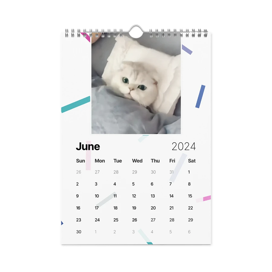 Wall Calendar (2024): Meme Cats product image (12)