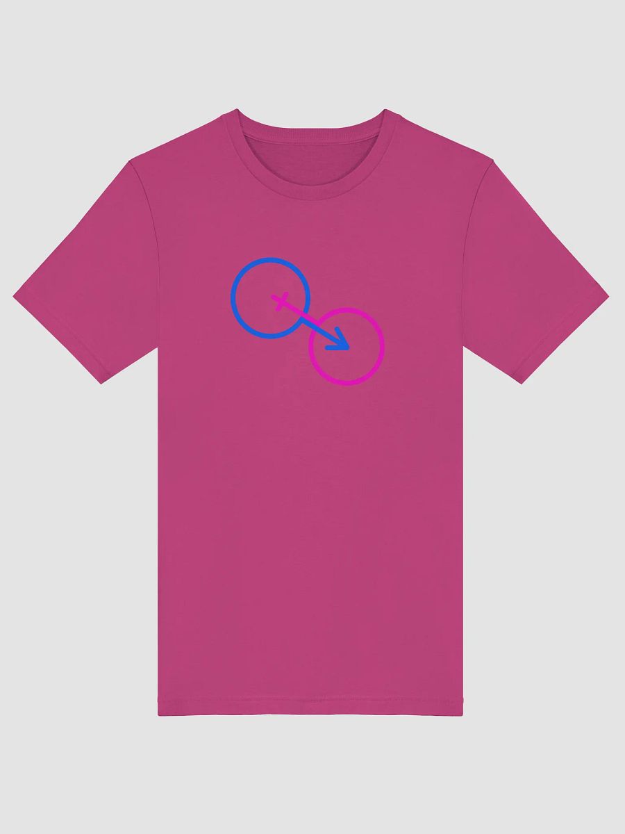 Traditional Genders Combined T-Shirt product image (1)