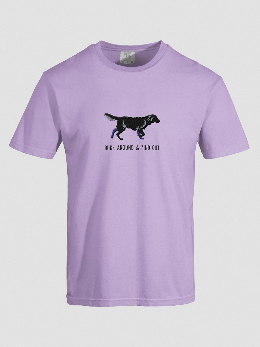 Duck Around and Find Out T-Shirt(Embroidered) of a Flat-Coated Retriever(Black) product image (47)