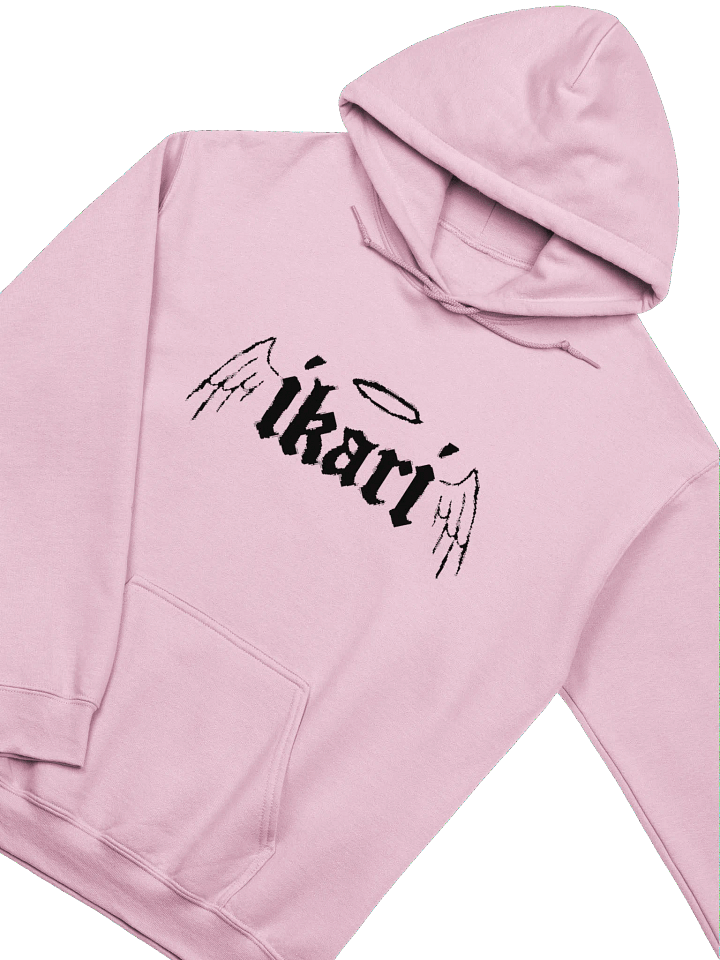 WINGS LOGO HOODIE product image (2)