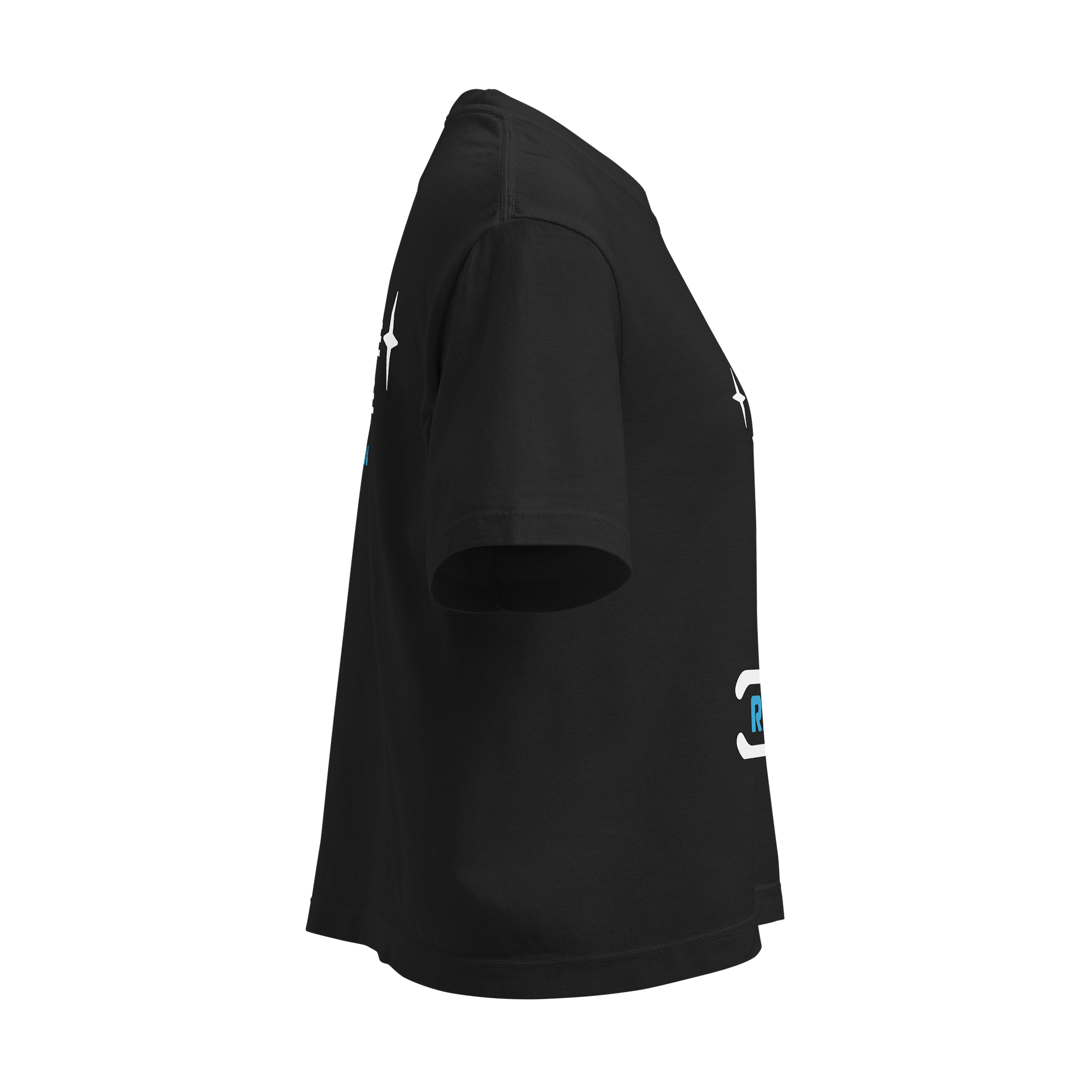 The Shirt (Alternate) product image (4)