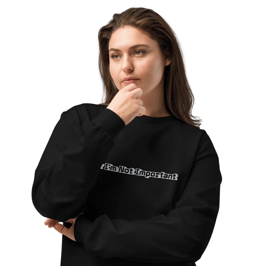 Unisex Premium Heavyweight Long Sleeve Shirt - Mr I'm Not Important product image (5)