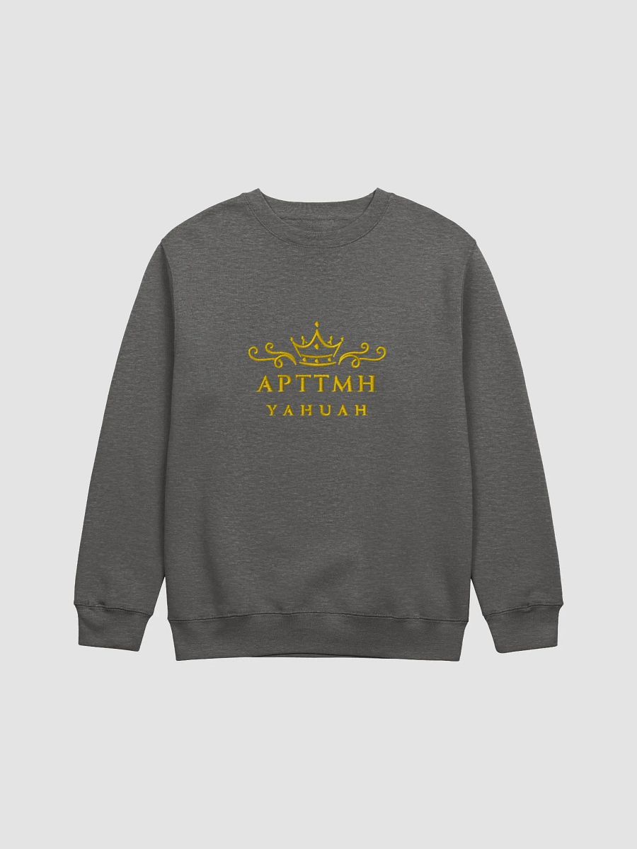Radiant Ornate Sweatshirt product image (1)
