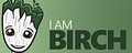 OldMan_Birch