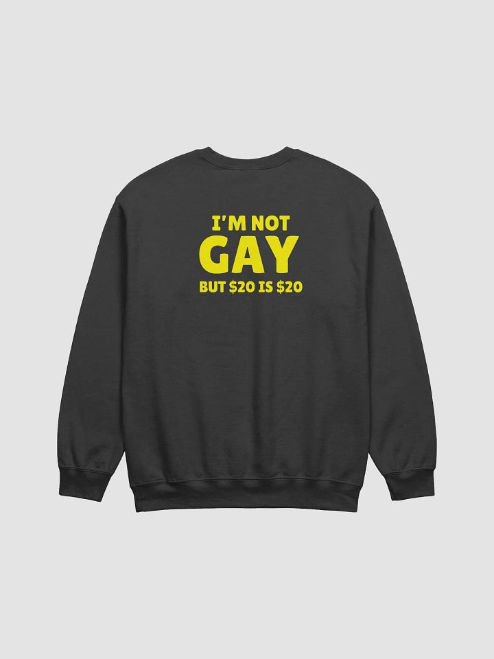 Not Gay But $20 is $20 Back Print Unisex Sweatshirt product image (1)