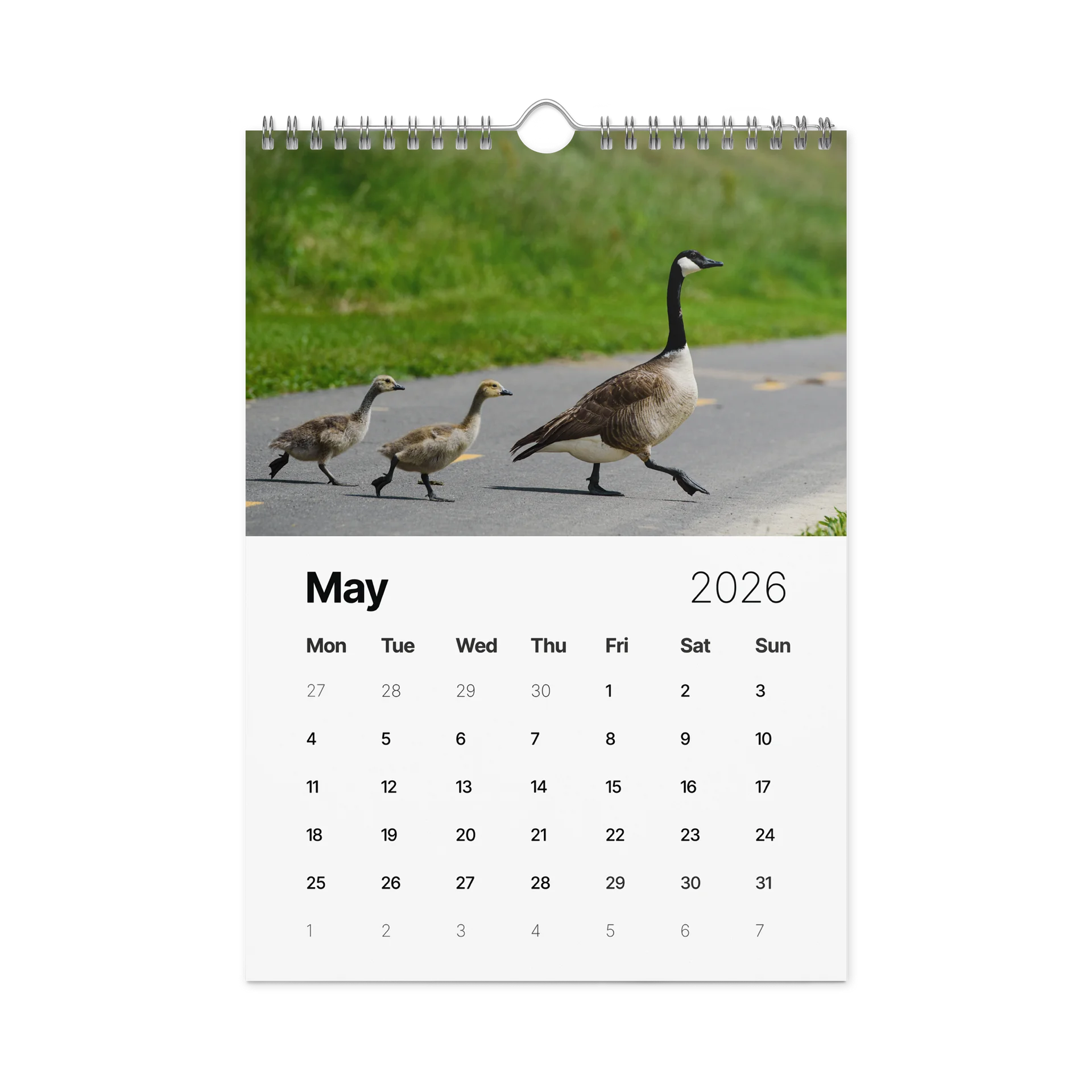 2026 Wall Calendar product image (5)