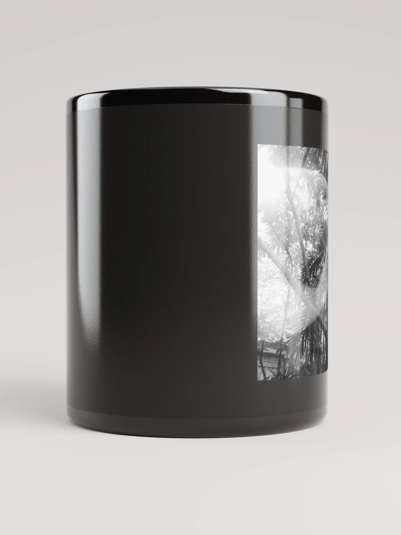 aquarium product image (5)