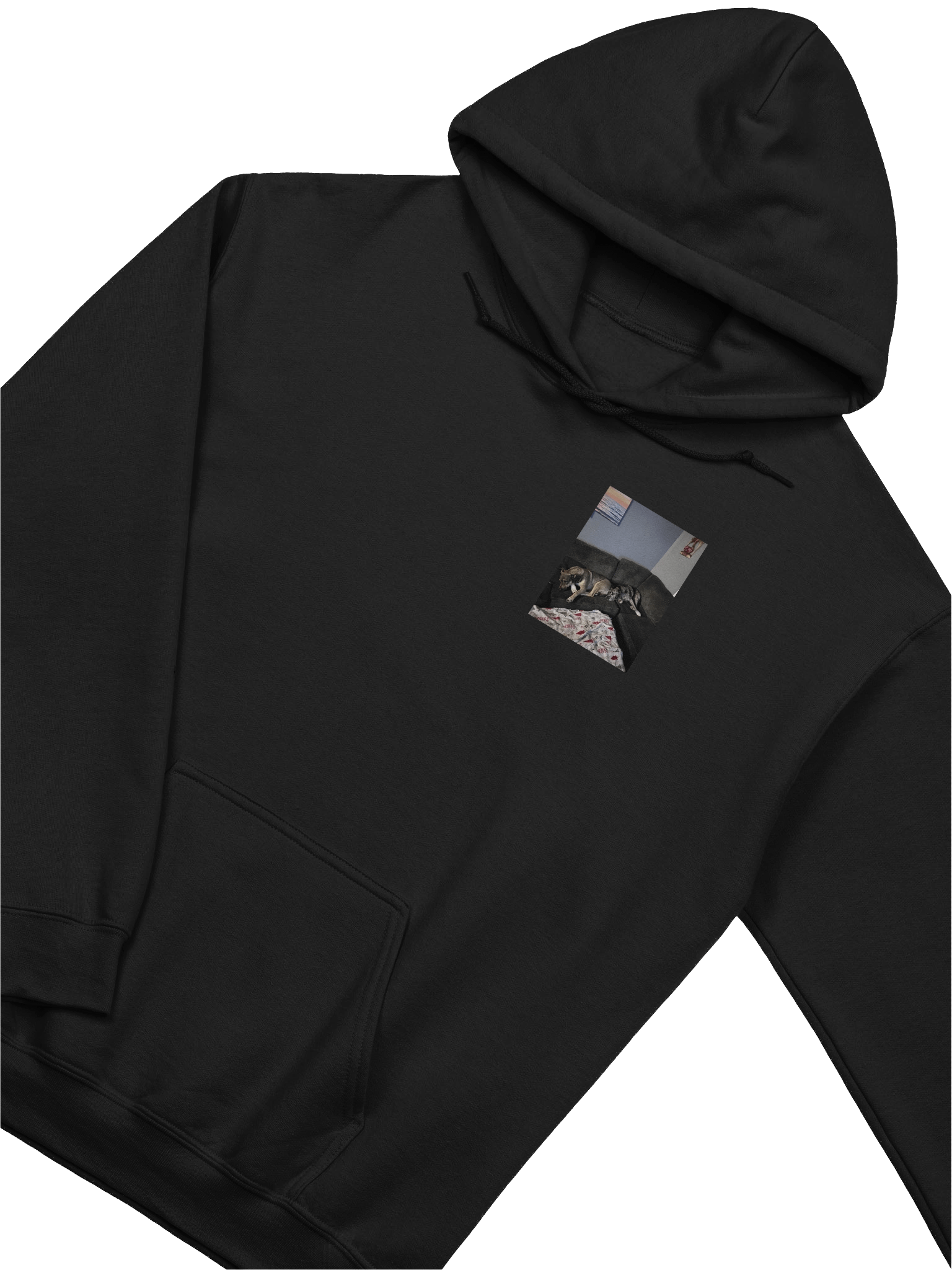 Long Live Sky and Layla Hoodie product image (3)