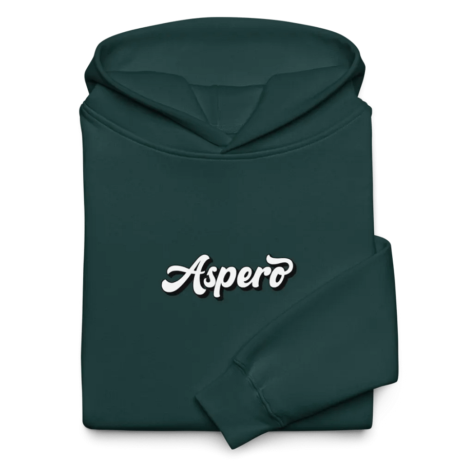 Aspero AS Colour Unisex Premium Oversized Hoodie product image (30)