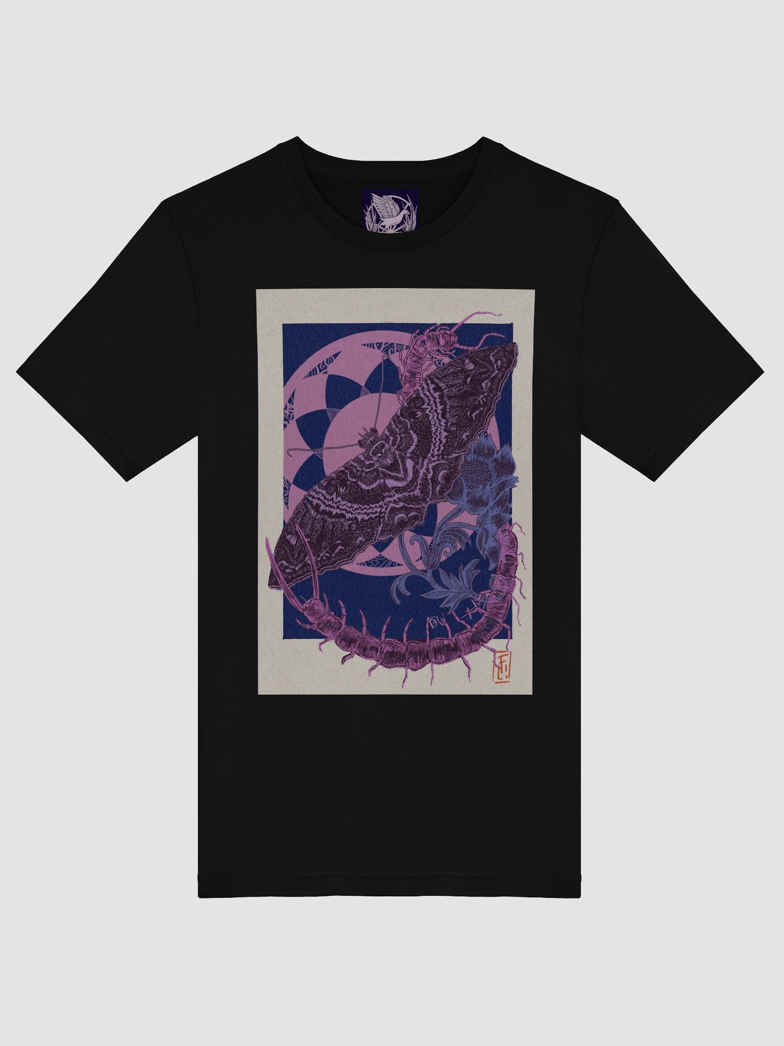 Polilla bruja y escolopendra product image (5)