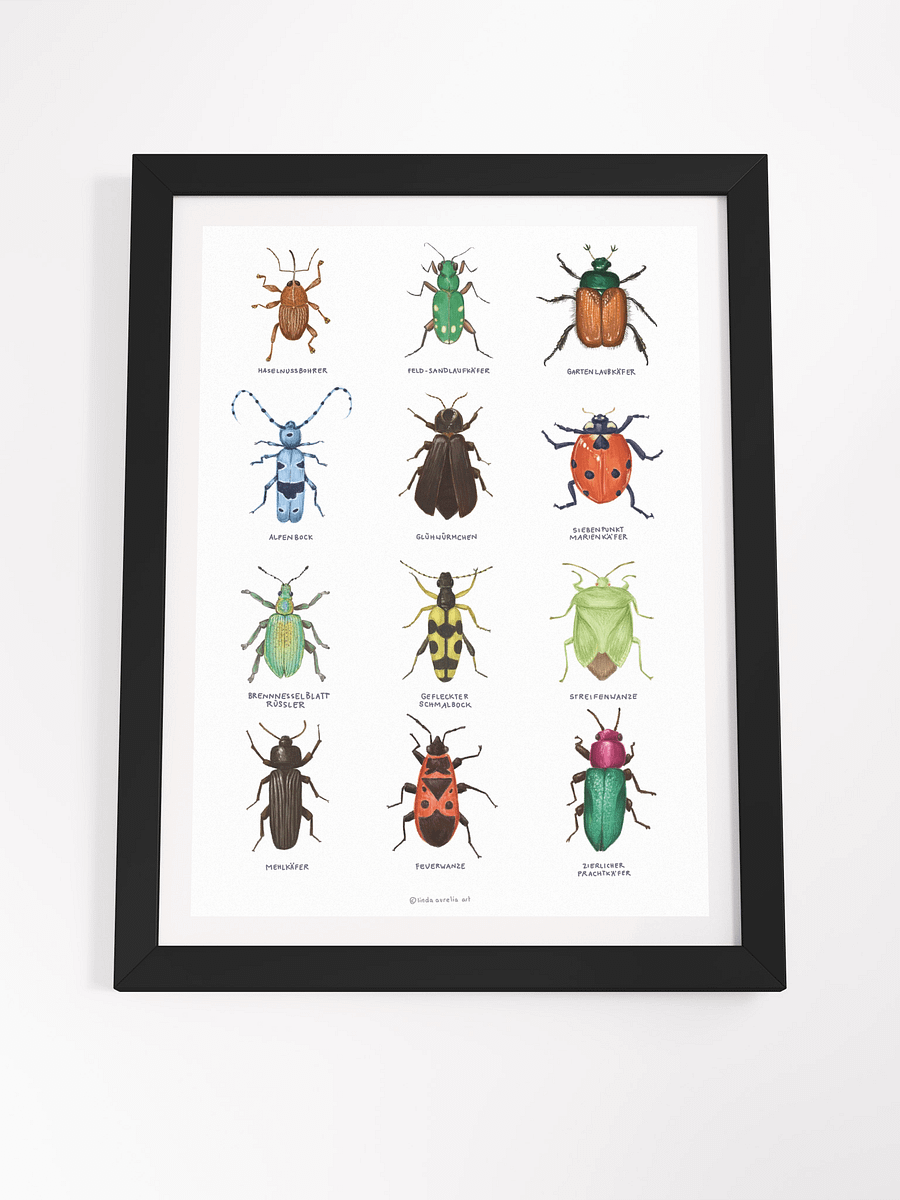 Framed Insects product image (4)