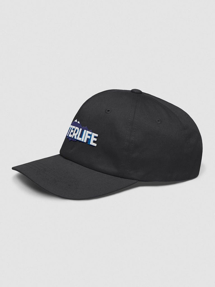 AfterLife Dad Hat product image (3)