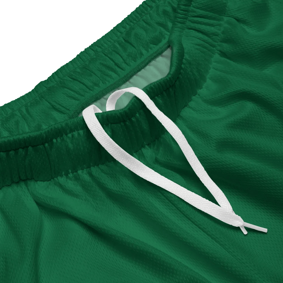Hoochie Mart Unisex Mesh Shorts Emerald product image (3)