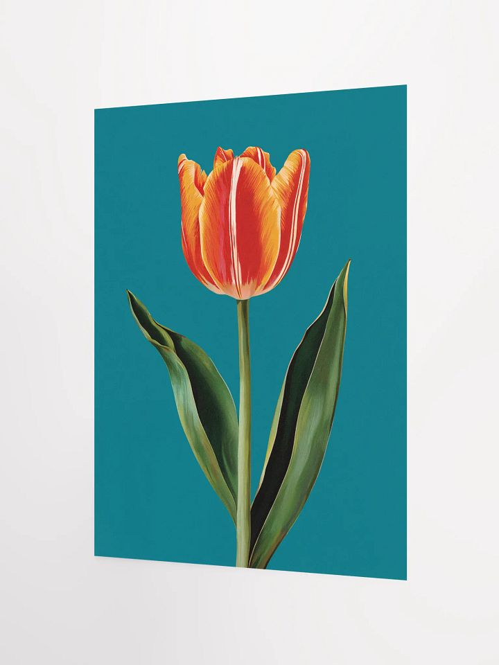 Tulip Print product image (8)