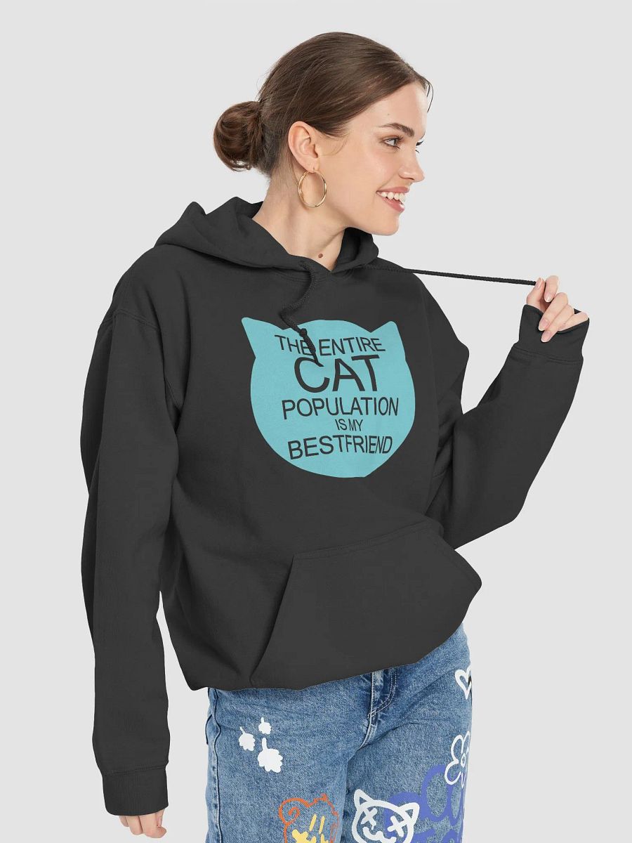 Cat population friend - hoodie product image (67)