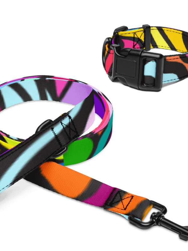 Vibrant Stripes Pet Collar & Leash Set - Wave at Sunset product image (7)