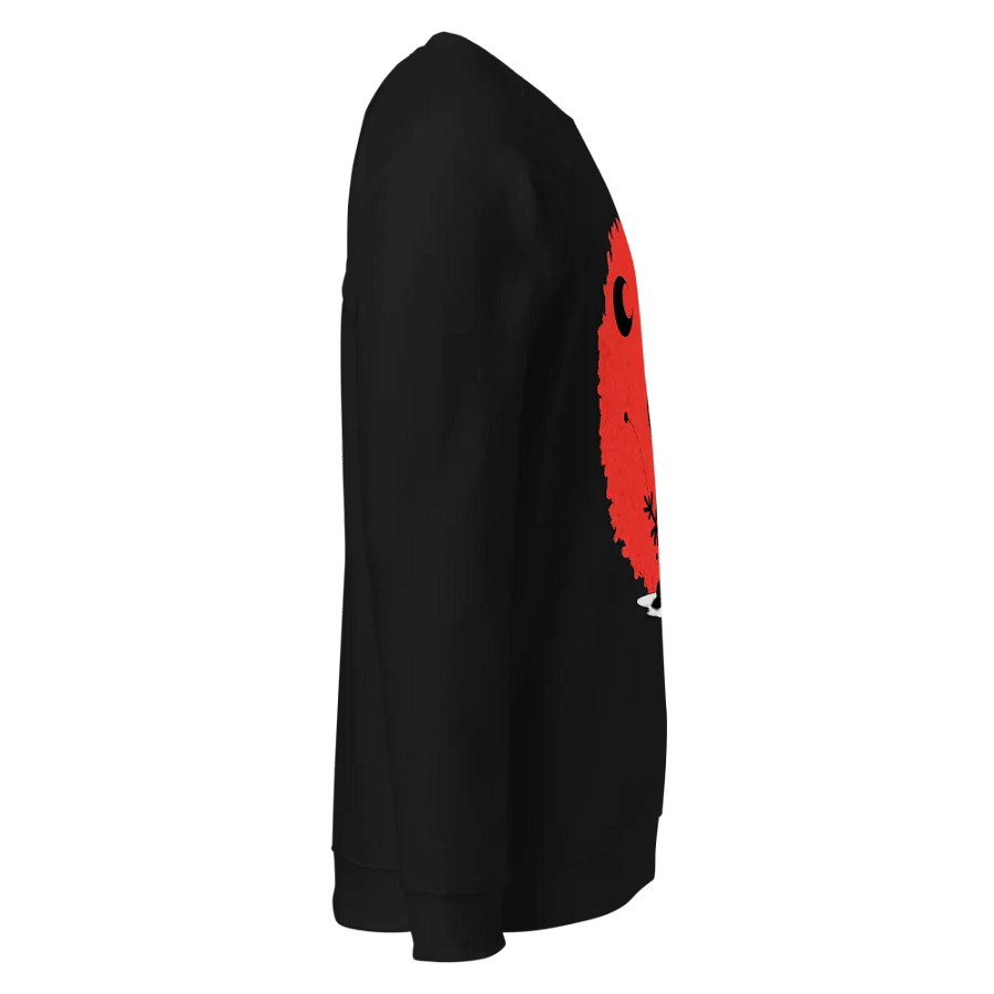 SOL'S Unisex Organic Raglan Sweatshirt product image (4)
