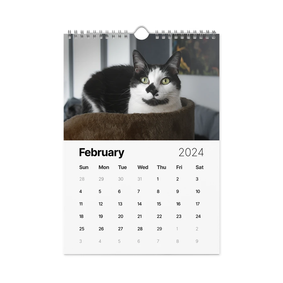 The 2024 ShoKo Cat Calendar product image (7)