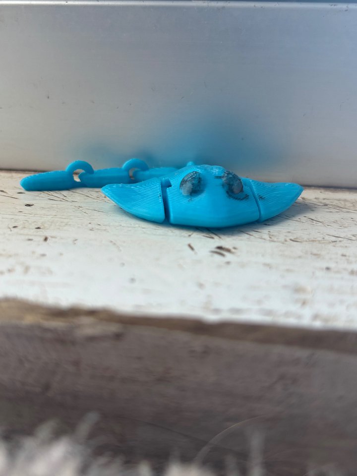 Mini stingray product image (1)