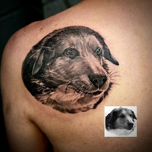 It’s always a pleasure when I get to do animals and an honour when I get to do ones that have passed and their owners want to...