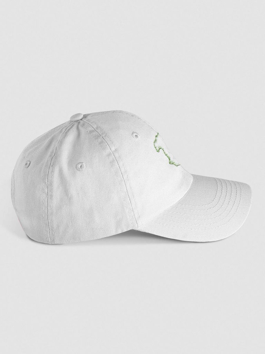 Fiery Dragon Youth Dad Hat product image (4)