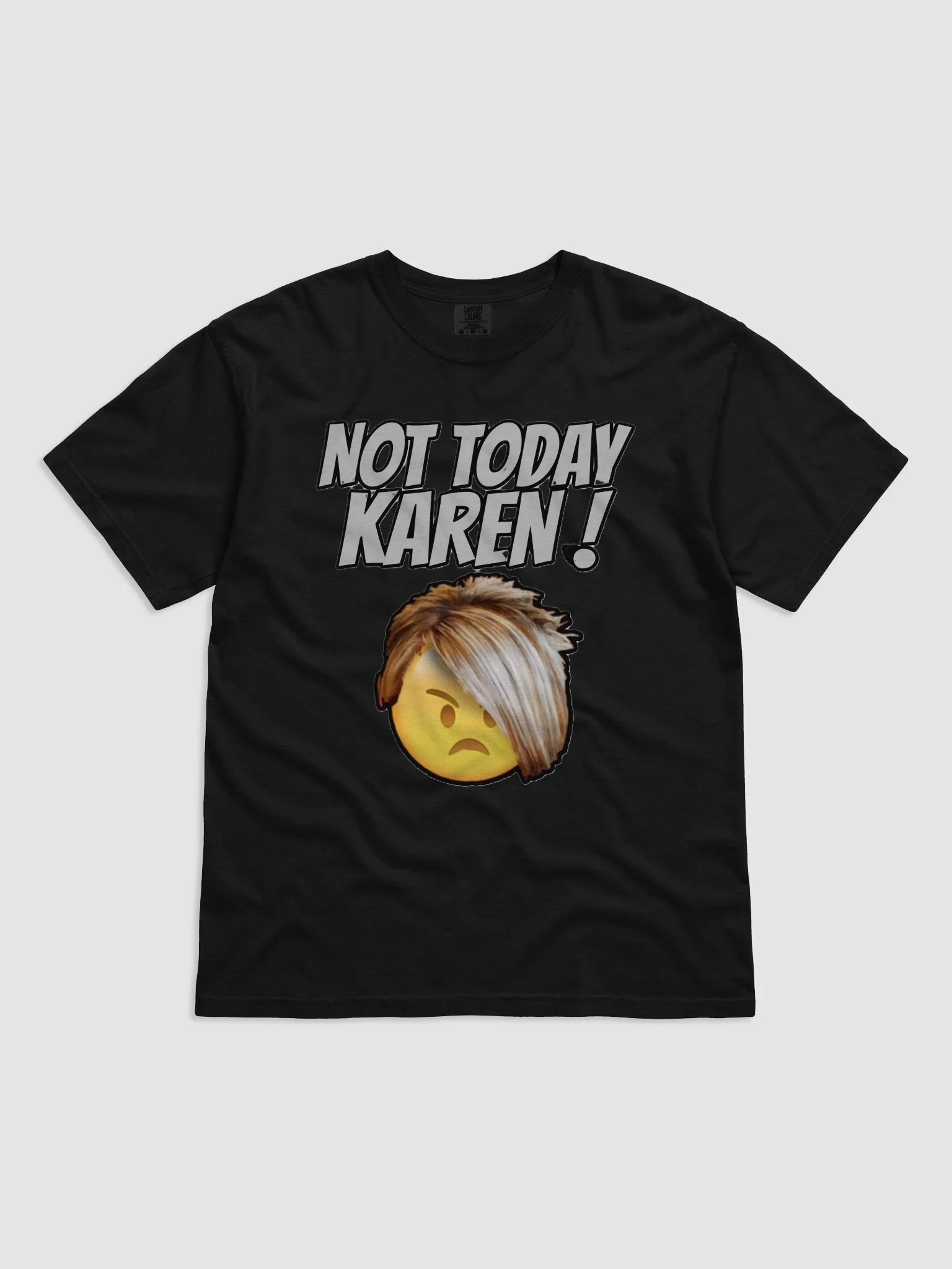 NOT TODAY KAREN! product image (3)