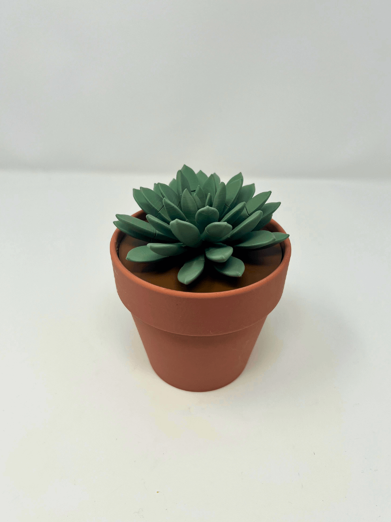 Push Pin Succulent (3D Printed) product image (2)