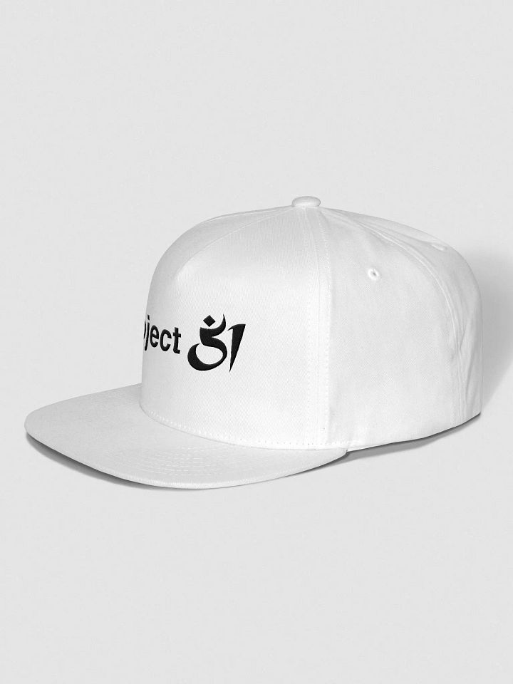 Project 51 snapback product image (2)