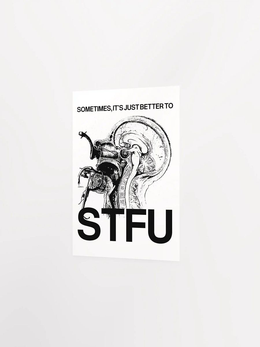 STFU - Poster product image (7)