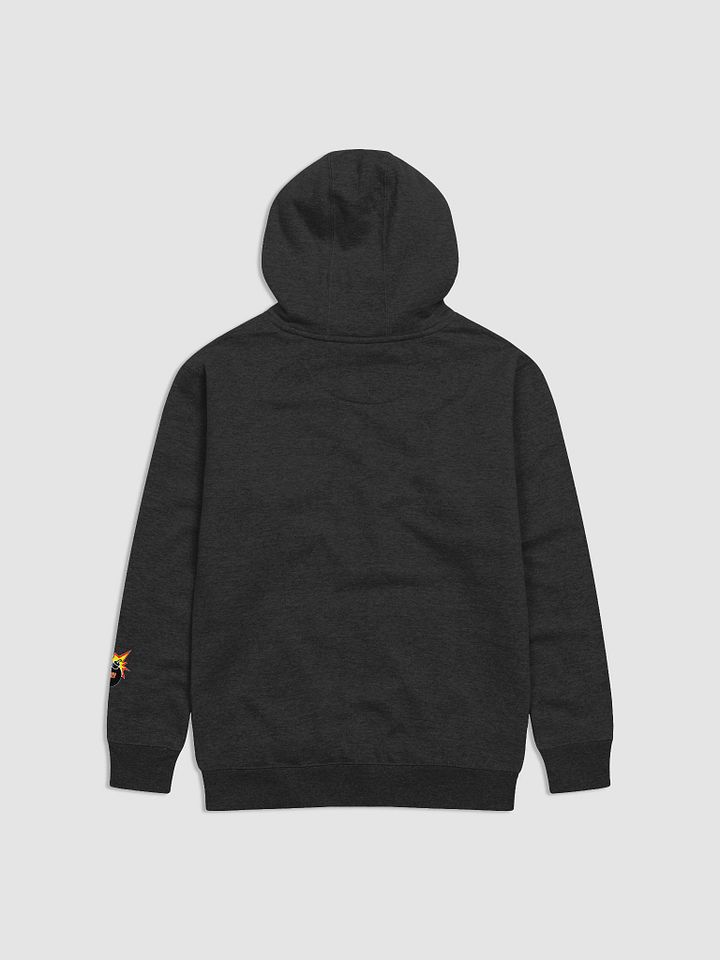 CLHY Logo Hoodie product image (2)