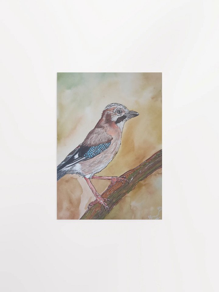 Corvis Series [01] Eurasian jay poster print product image (1)