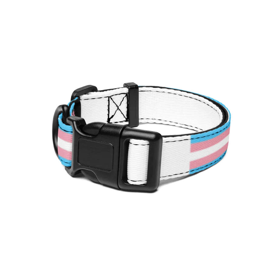 Trans Rights or I Bites Collar product image (1)