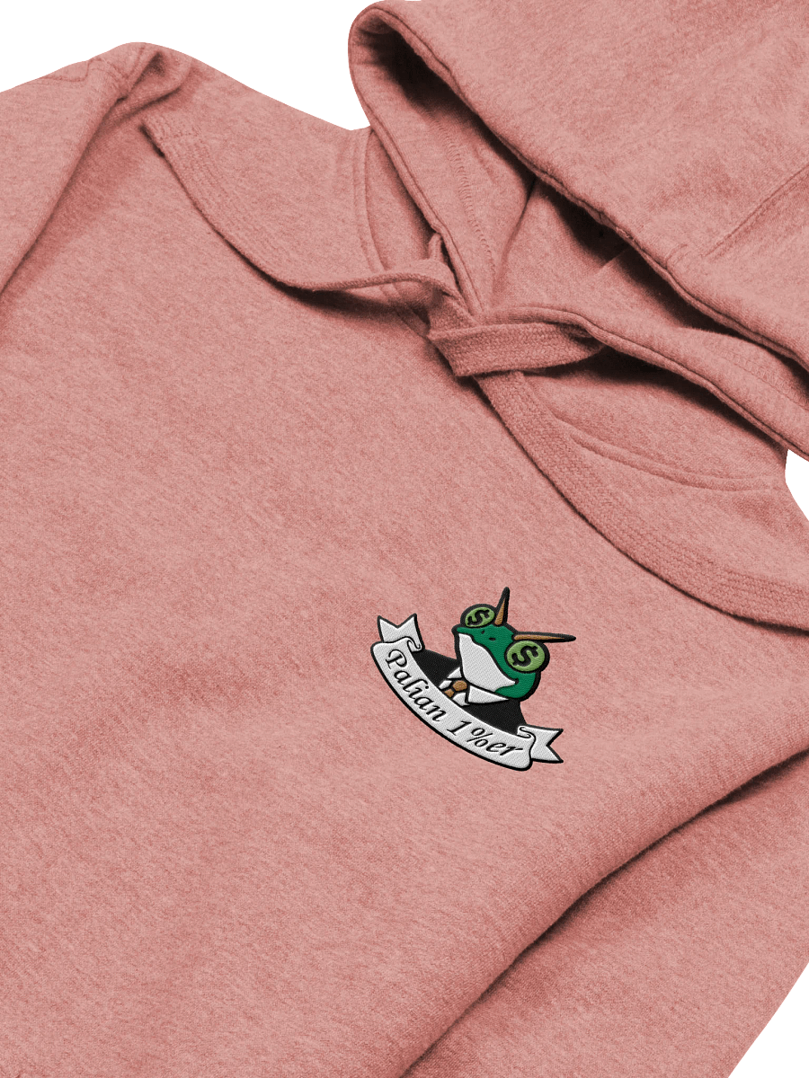 FROGMONEY2025 Palian 1%er Embroidered Hoodie product image (21)