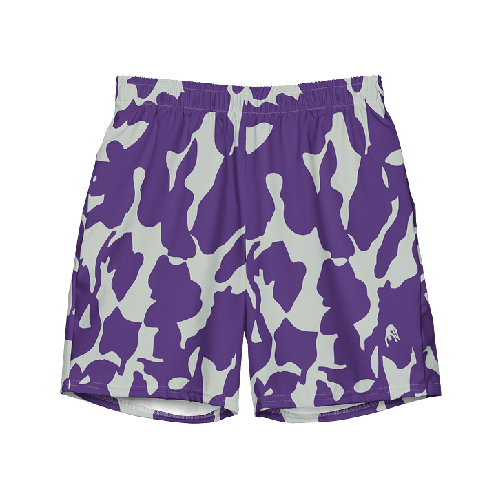 In Plain Sight Alt product image (1)