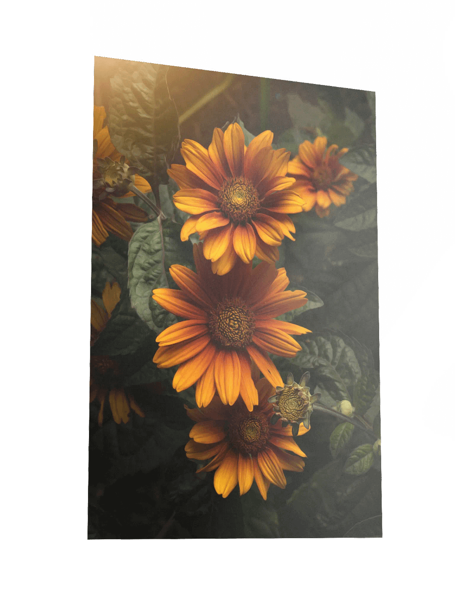 Sunny Orange Flowers in Golden Light product image (4)