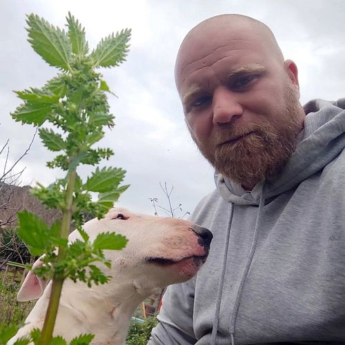 “Before you train them…
Bond with them.”

You can’t train a Bull Terrier that doesn’t trust you.
You can bribe, yell, repeat…...