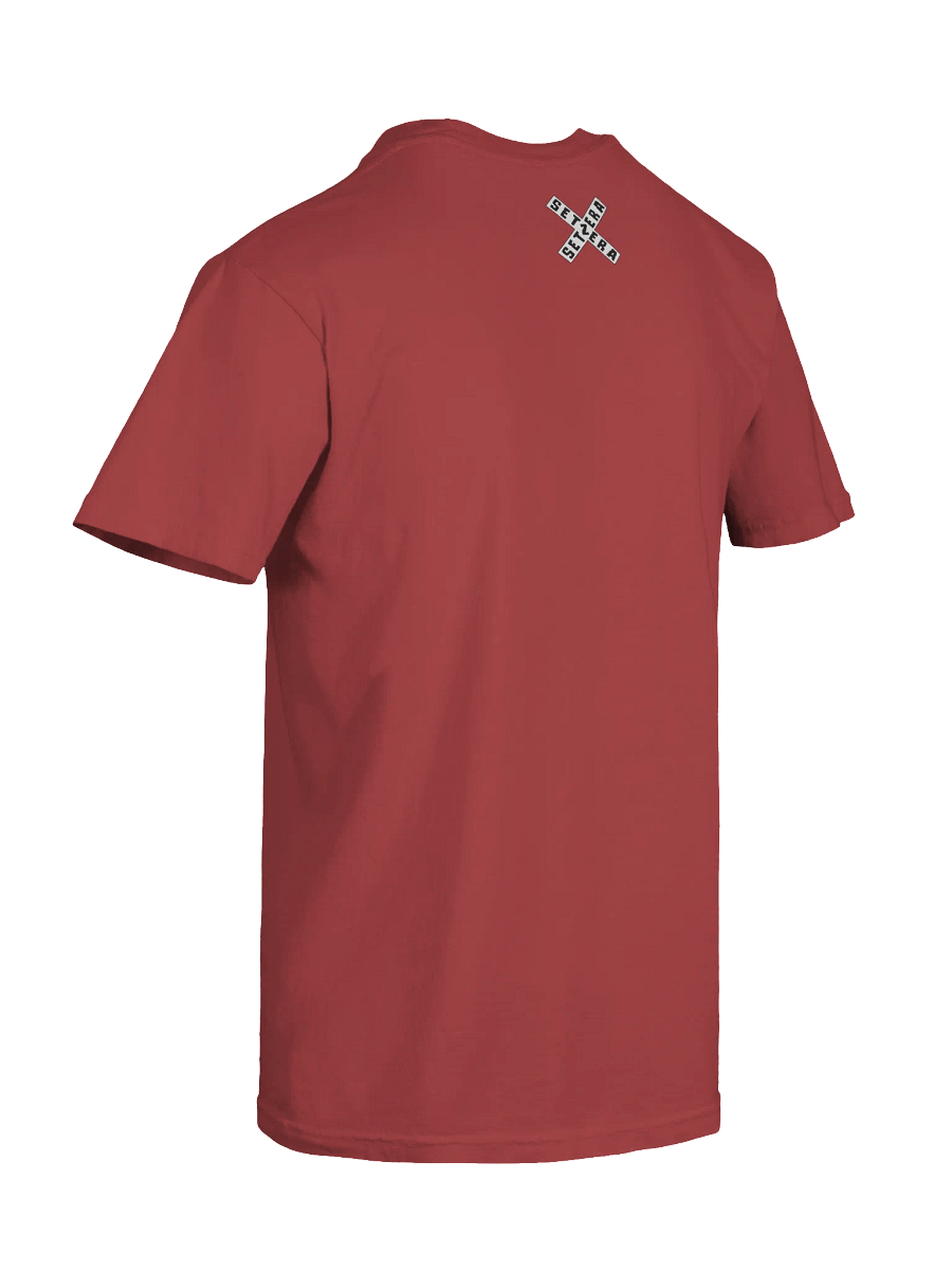 Singular Steam Traincell T-Shirt (14 Colors) product image (3)